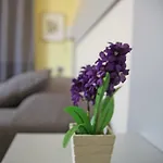 Seawall Holiday Home
